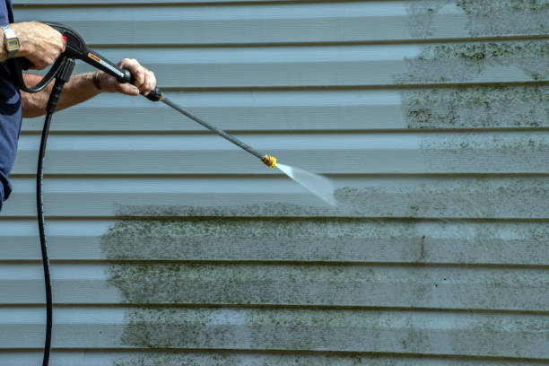 Best Roof Washing  in Ravenswood, WV